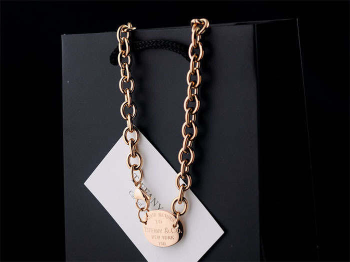 Tiffany&Co Necklaces 74